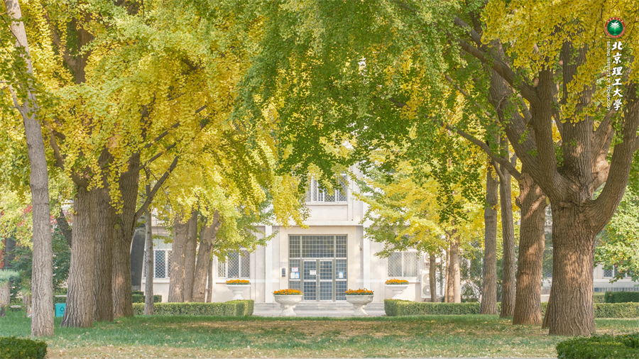深秋北理6.jpg