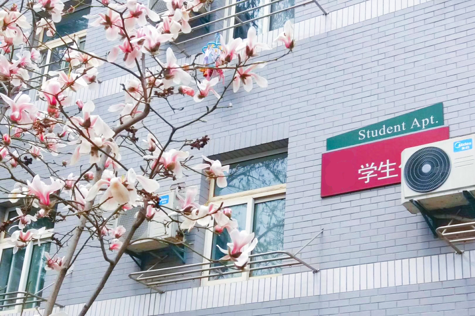 Apartment Regulations