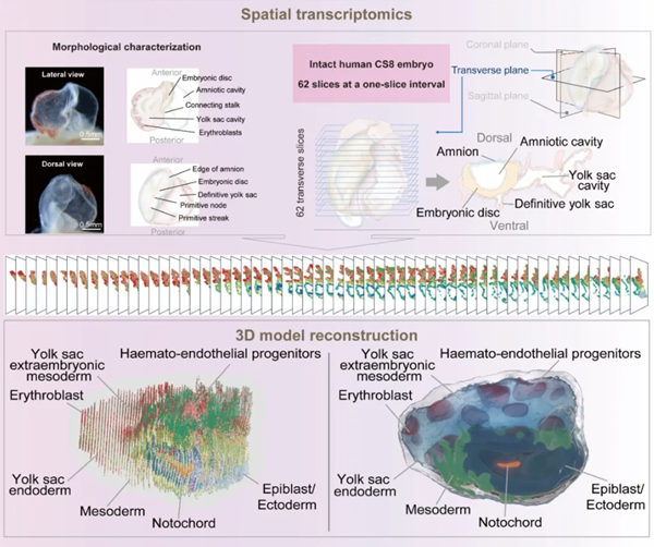 1714444957944055229.png 3.png