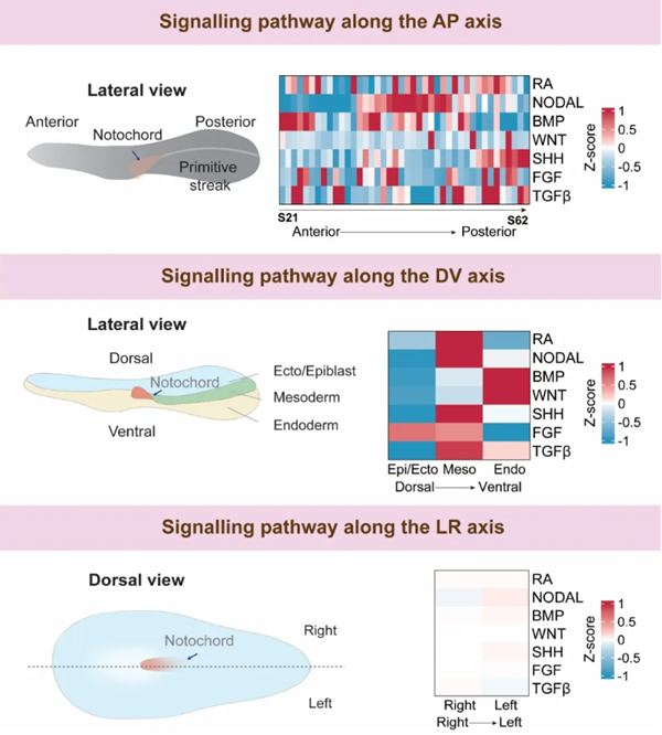 1714445045687004262.png 5.png