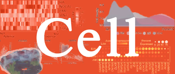 1714445063758023549.png 1.png