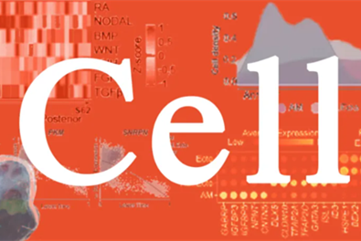 First BIT article published in Cell! 3D technology reveals 'secrets of early life'