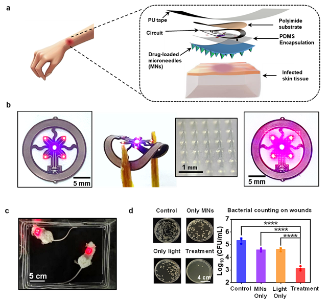 1721199609006067309.png ed426fb7e6774ad2b6b2b2e33bc0f6f4.png